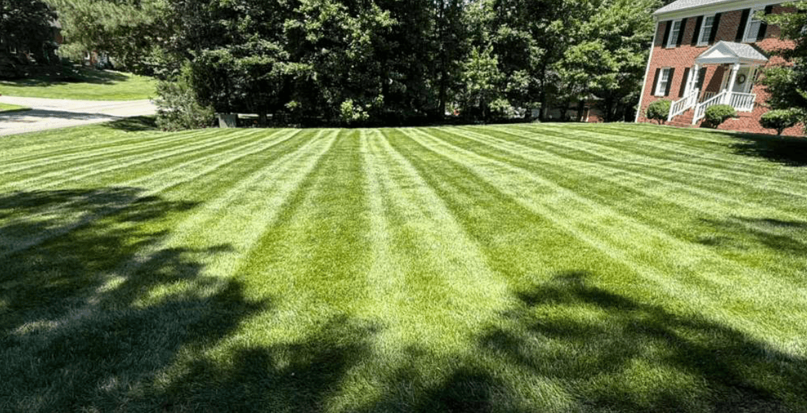 D&M Landscaping & Tree Service