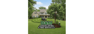 D&M Landscaping & Tree Service
